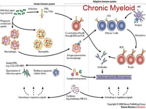 CHRONIC MYELOID LEUKEMIA